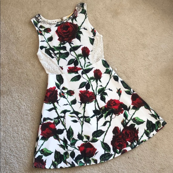 ✨SALE✨Rose and Lace Sparkly Minidress 🌹💎 - Picture 1 of 8